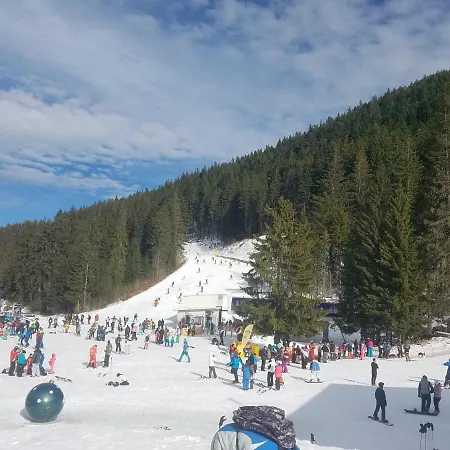 Lucy's Emerald Apartment Bansko