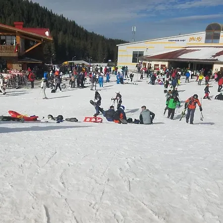 Lucy's Emerald דירה בנסקו