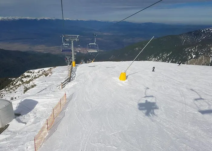 Lucy's Emerald Apartment *